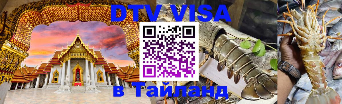 Оформление DTV визы под ключ: стоимость и тарифы, только загранпаспорт - 